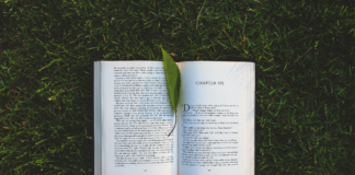 open book in grass with leaf bookmark