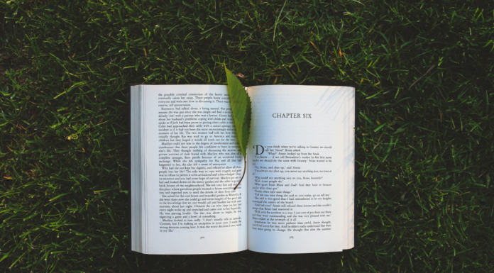 open book in grass with leaf bookmark