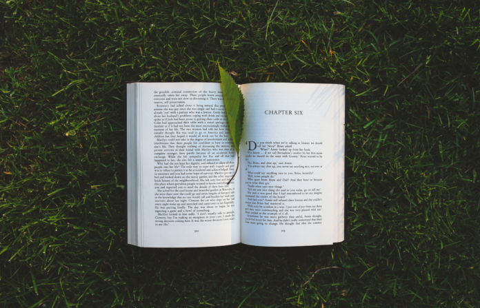 open book in grass with leaf bookmark