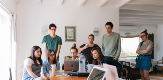 group of people in office working on laptops