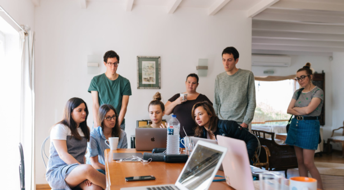 group of people in office working on laptops