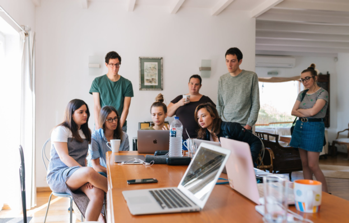 group of people in office working on laptops